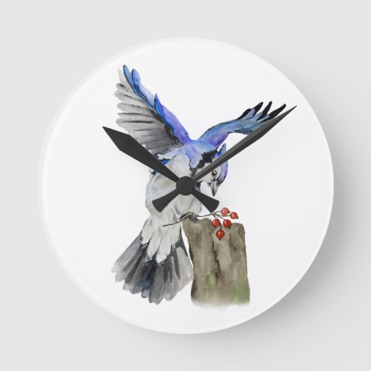 Blaue Jay Runde Wanduhr (Vorderseite)