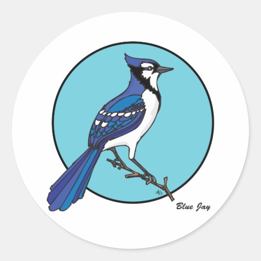 BLAUE JAY RUNDER AUFKLEBER (Vorderseite)