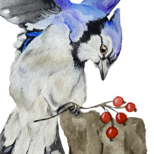 Blaue Jay Schlüsselanhänger
