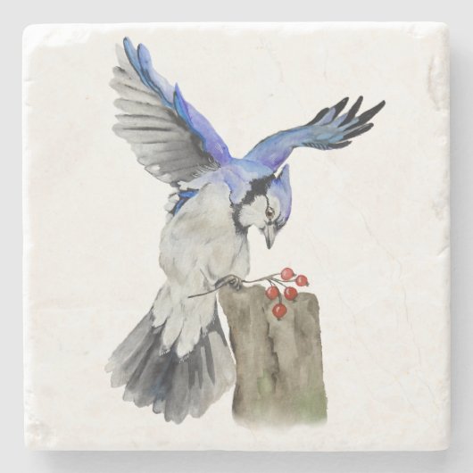 Blaue Jay Steinuntersetzer (Vorderseite)