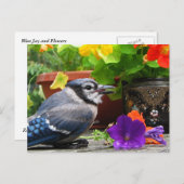 Blaue Jay und Blume Postkarte (Vorne/Hinten)