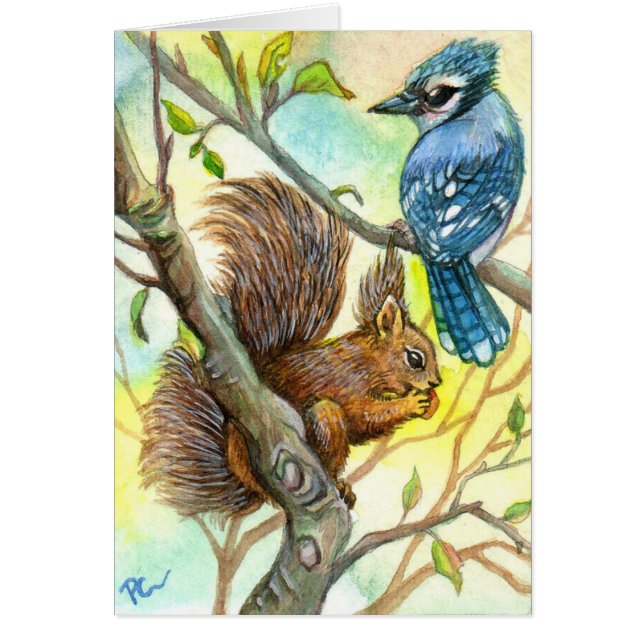 Blaue Jay und Eichhörnchen (Vorne)