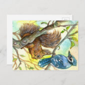 Blaue Jay und Eichhörnchen Postkarte (Vorne/Hinten)