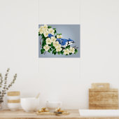 Blaue Jay unter Dogwood-Blume Poster (Küche)