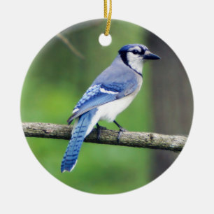Blaue Jay-Verzierung Keramik Ornament