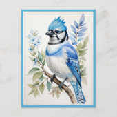 Blaue Jay-Vogel auf Baumzweig Postkarte (Vorderseite)
