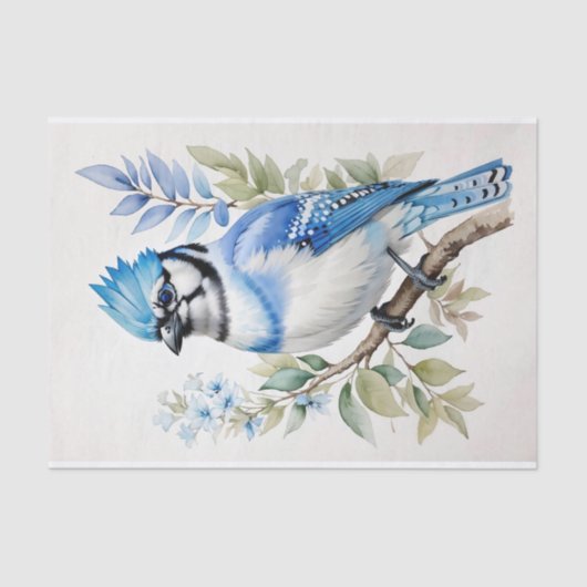 Blaue Jay-Vogel auf Baumzweig Seidenpapier (Vorderseite)