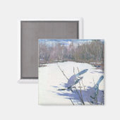 Blaue Jay Vögel in einer Winterlandschaft Magnet (Vorderseite/Rückseite)