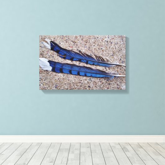 Blaue Jay-Vogelfedern Leinwanddruck (Insitu (Holzboden))
