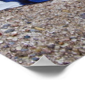 Blaue Jay-Vogelfedern Poster (Ecke)