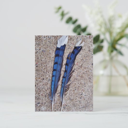 Blaue Jay-Vogelfedern Postkarte (Stehend Vorderseite)