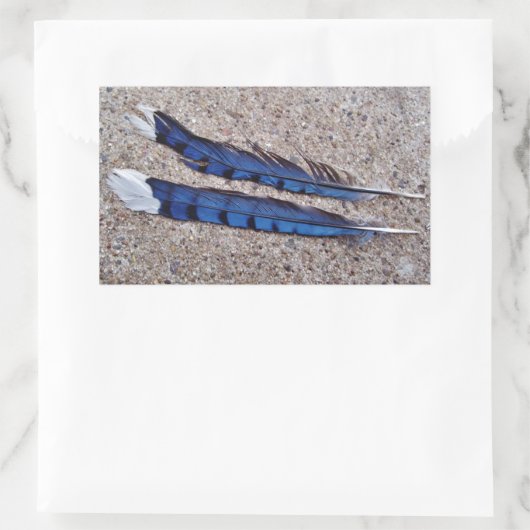 Blaue Jay-Vogelfedern Rechteckiger Aufkleber (Tasche)