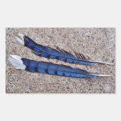 Blaue Jay-Vogelfedern Rechteckiger Aufkleber (Vorderseite)