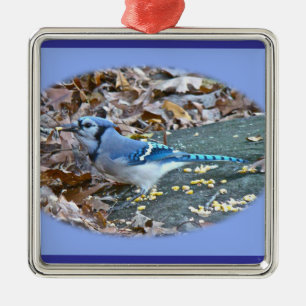 Blaue Jay-Weihnachtsverzierung Silbernes Ornament