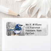 Blaue Jay Zeichne Rücksendeadresse (Insitu)