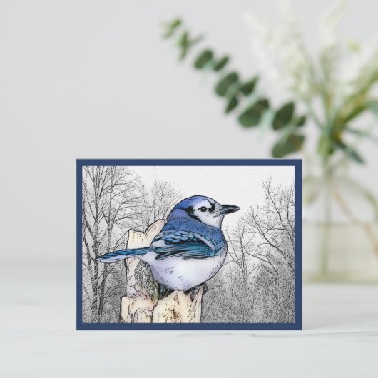 Blaue Jay Zeichnend Postkarte (Stehend Vorderseite)