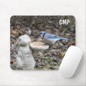 Blaue Jay zur Niedlichen Kaninchenvogelzuführung Mousepad (Mit Mouse)