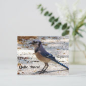 Blaue Jaypostkarte Postkarte (Stehend Vorderseite)