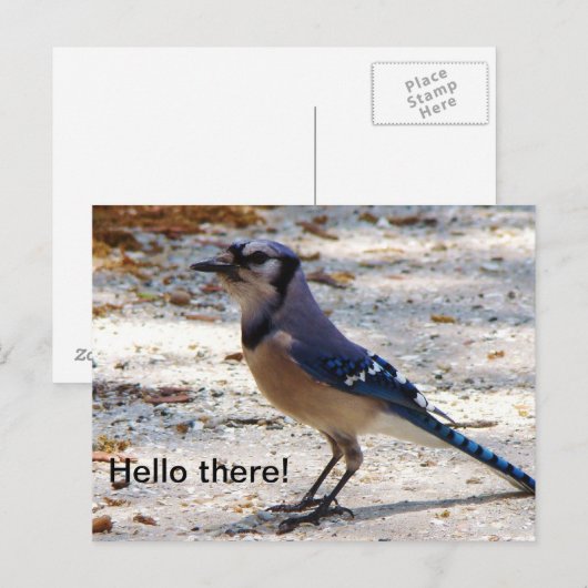 Blaue Jaypostkarte Postkarte (Vorne/Hinten)