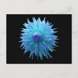 Blaue Jennie auf schwarzer Postkarte
