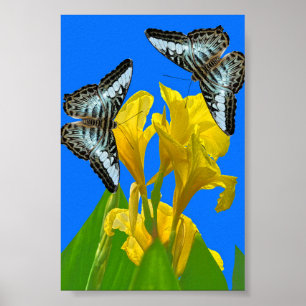 Blaue Kappenschmetterlinge aus Malaysia auf Canna Poster