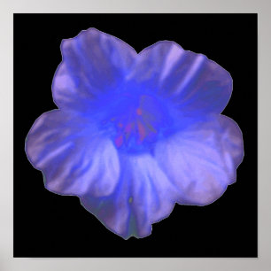 Blaue Kapuzinerkresse-Blumenprint Poster