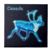 Blaue Karibik (Reindeer) Fliese (Vorderseite)