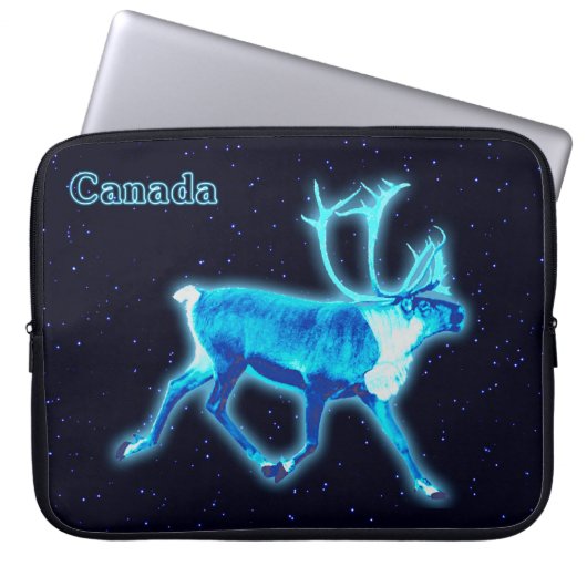 Blaue Karibik (Reindeer) Laptopschutzhülle (Vorderseite)