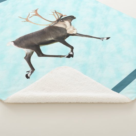 Blaue Karibik (Rentier) auf Schnee Sherpadecke (3/4)