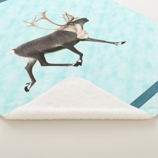 Blaue Karibik (Rentier) auf Schnee Sherpadecke (3/4)