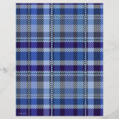 Blaue Karo-Massenware Scrapbook-Papier Seiten (Hinten)