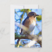 Blaue Karte - Natureinweis (Vorderseite)