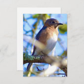Blaue Karte - Natureinweis (Vorne/Hinten)