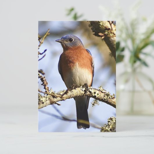 Blaue Karte - Natureinweis (Stehend Vorderseite)