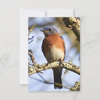 Blaue Karte - Natureinweis