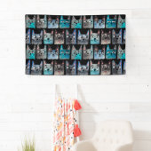 Blaue Katzen Banner (Insitu)