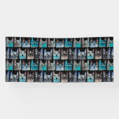 Blaue Katzen Banner (Horizontal)