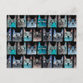 Blaue Katzen Postkarte (Vorderseite)