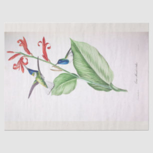 Blaue Kolibri-Ephemera-Decoupage im Vintage-Stil Seidenpapier