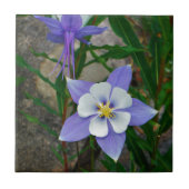 Blaue Kolonne Fliese (Vorderseite)