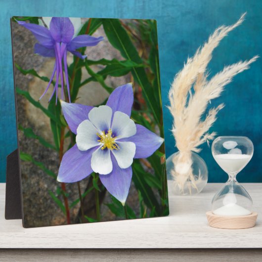 Blaue Kolonne Fotoplatte (Seite)