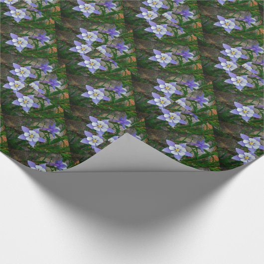 Blaue Kolonne Geschenkpapier (Ecke)