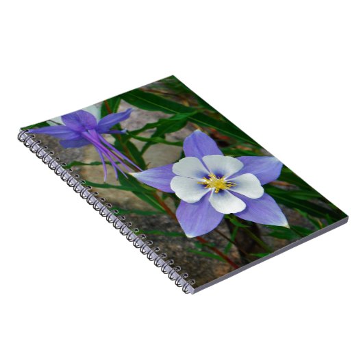 Blaue Kolonne Notizblock (Rechte Seite)