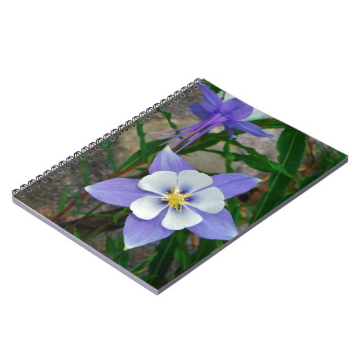 Blaue Kolonne Notizblock (Linke Seite)