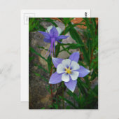 Blaue Kolonne Postkarte (Vorne/Hinten)