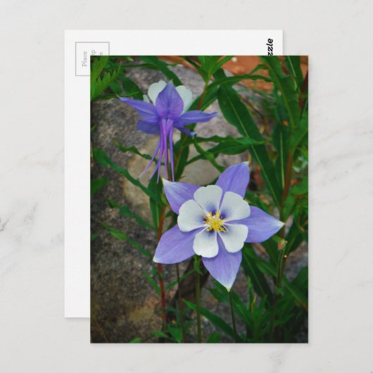 Blaue Kolonne Postkarte (Vorne/Hinten)