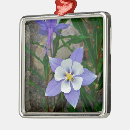 Blaue Kolonne Silbernes Ornament (Links)