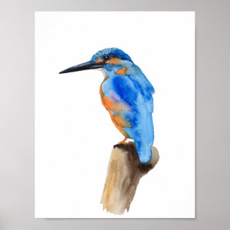 Blaue Königsvogel Poster