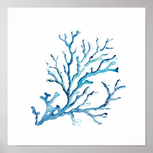 Blaue Koralle Poster (Vorne)