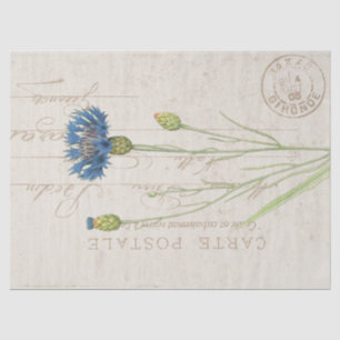 Blaue Kornblume Floral Vintage Postkarte Seidenpapier